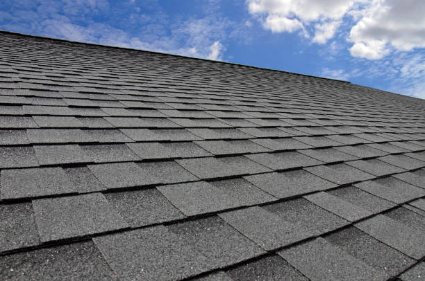 Best Solar Panel Roofing Installation  in Madison, GA