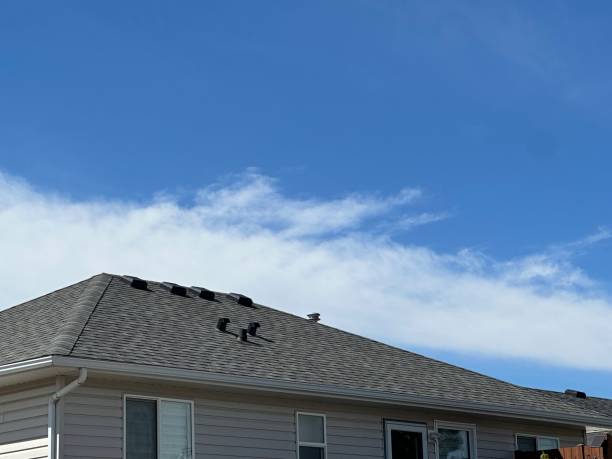 Best Roof Moss and Algae Removal  in Madison, GA